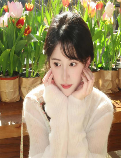 情感解析：《挑战的法则精彩内容》历史的事件再现与当代启示——经典与创新的交融